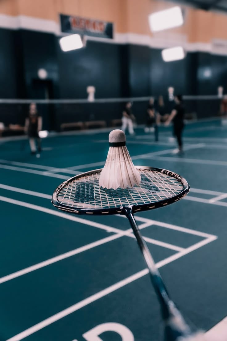 Professional Courts