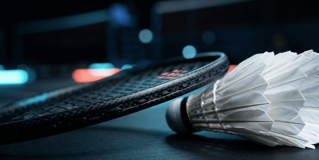 Shuttlecock and racket